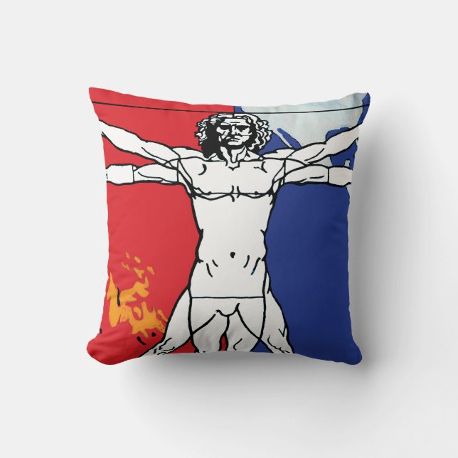 Skylab 2 Vitruvian Man Mission Patch Logo Cushion (Front)