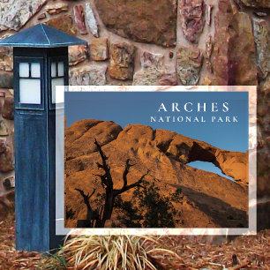 Skyline Arch,  Looking Up Arches National Park Postcard