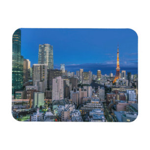 Skyline at twilight magnet