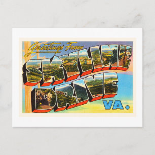 Skyline Drive Virginia VA Vintage Travel Postcard- Postcard