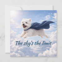 Sky's the Limit