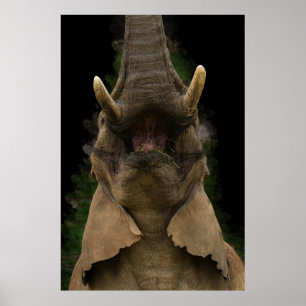 Skyward Snack Elephant's Upward Reach Poster