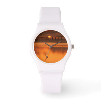 Skyway Bridge Watch