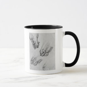 Slashed nostrils of horses mug