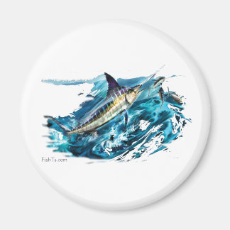Slashing Marlin Jumping with Tuna Magnet