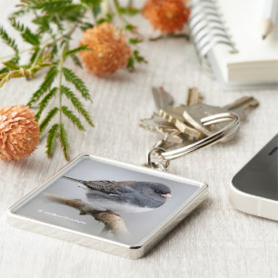 Slate-Coloured Dark-Eyed Junco on the Pear Tree Key Ring