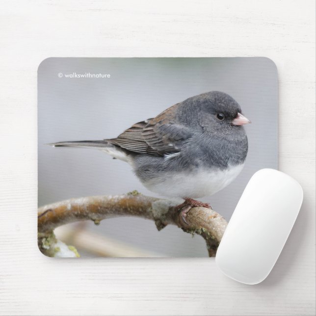 Slate-Coloured Dark-Eyed Junco on the Pear Tree Mouse Pad (With Mouse)