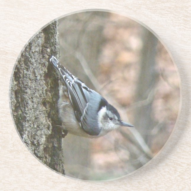 Slate Grey Nuthatch Songbird Coaster (Front)