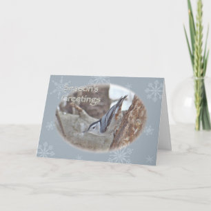 Slate Grey Nuthatch Songbird Seasons Greeting Card