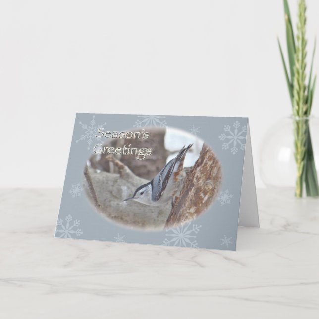 Slate Grey Nuthatch Songbird Seasons Greeting Card (Front)