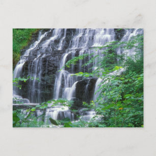 Slatestone Brook Falls Sunderland Postcard