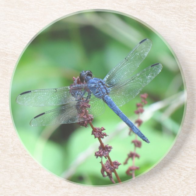Slatey Skimmer Dragonfly Coaster (Front)