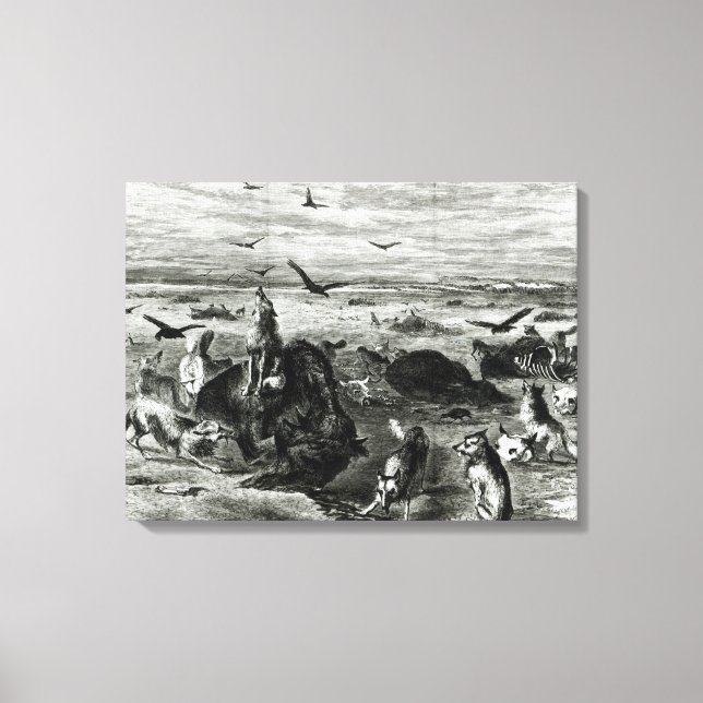 Slaughter of Buffaloes on the Plains Canvas Print (Front)