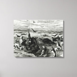 Slaughter of Buffaloes on the Plains Canvas Print
