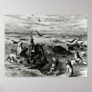 Slaughter of Buffaloes on the Plains Poster