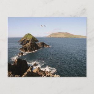 Slea Head Postcard