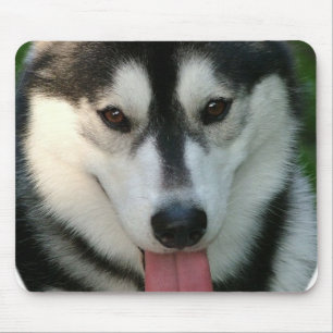 Sled Dog Mouse Pad