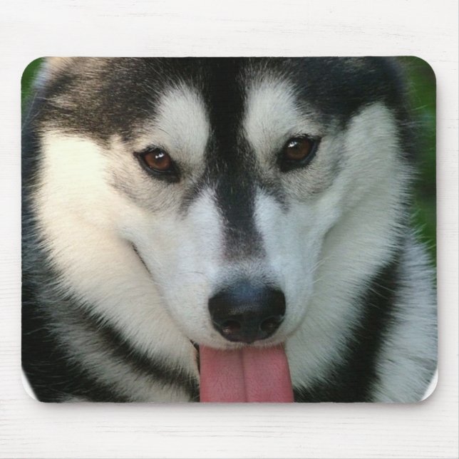 Sled Dog Mouse Pad (Front)