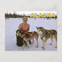Sled Dogs In Alaska