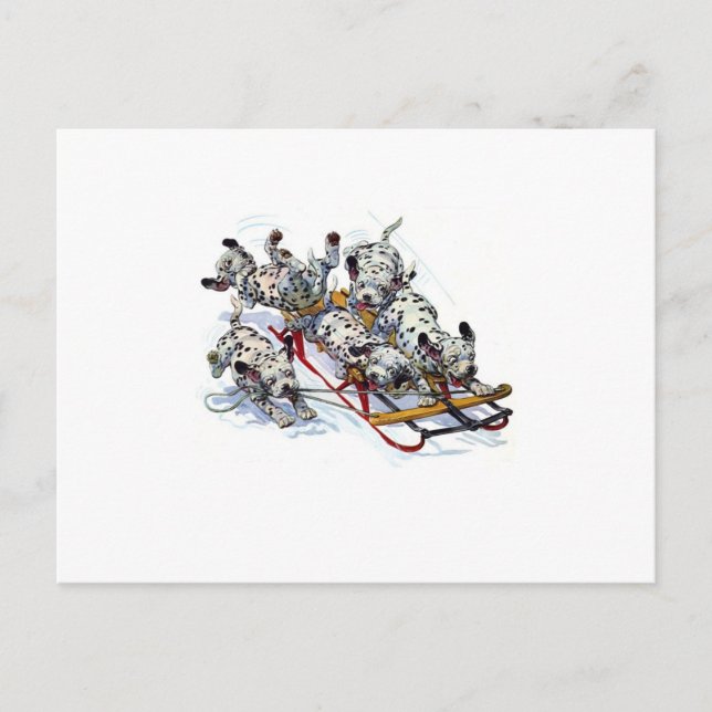 Sledding Dalmatian Pups Postcard (Front)