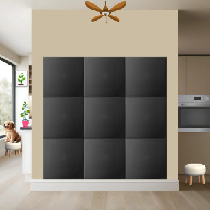 Sleek Black Ceramic Tile   Stylish Custom Home