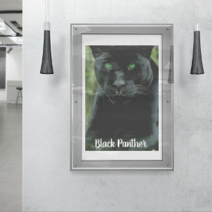 Sleek Black Panther Cat with Green Eyes Poster
