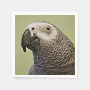 Sleek Congo African Grey Parrot Napkin