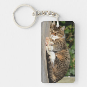 Sleely kitty key ring
