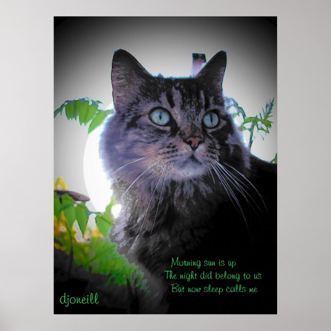 Sleep calls me poster (Front)