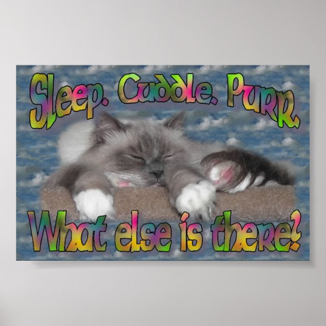 Sleep, cuddle, purr! poster (Front)