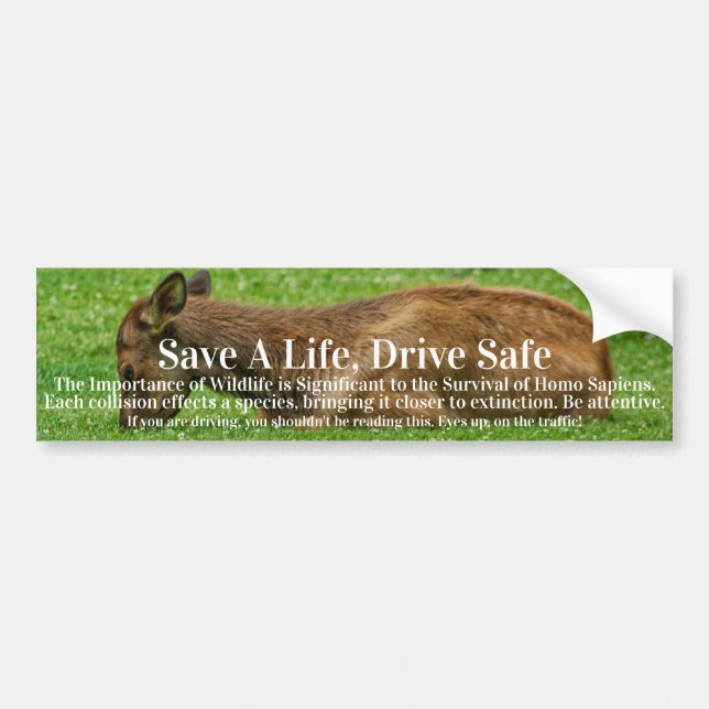 Sleep Little One Bumper Sticker (Front)