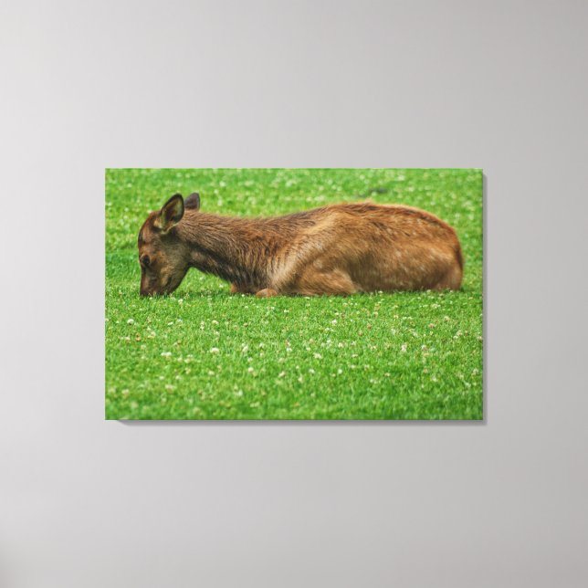 Sleep Little One Canvas Print (Front)