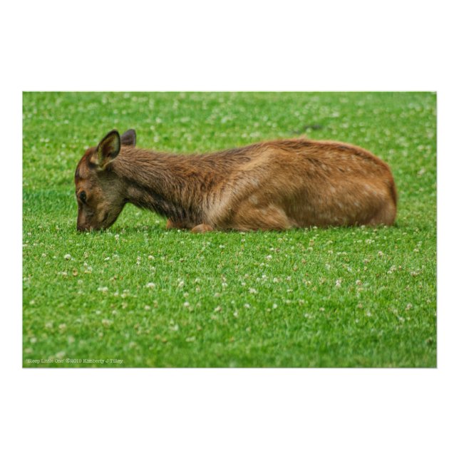 Sleep Little One Photo Print (Front)