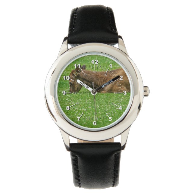 Sleep Little One Watch (Front)