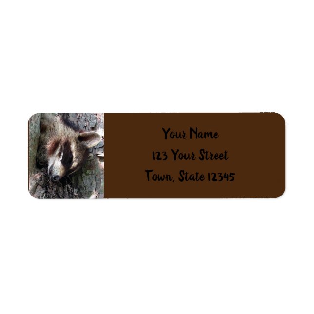 Sleeping Baby Racoon Return Address Label (Front)