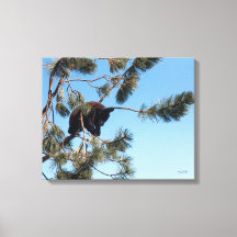 Sleeping Bear Cub
