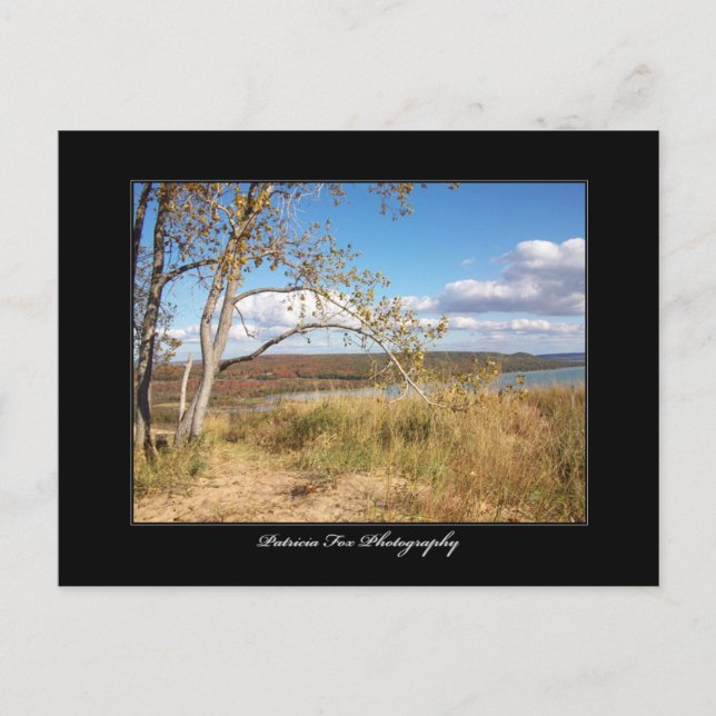 Sleeping Bear Sand Dunes 1  - Postcard (Front)