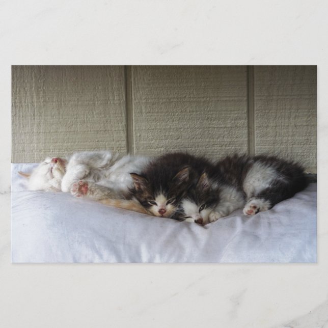 Sleeping Beauties (Front)