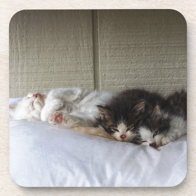 Sleeping Beauties Coaster (Front)