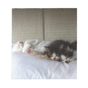 Sleeping Beauties Notepad