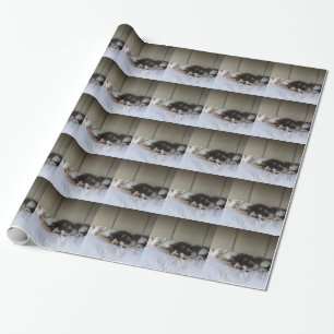 Sleeping Beauties Wrapping Paper