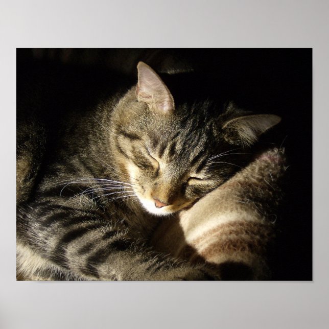 Sleeping Beauty Poster (Front)