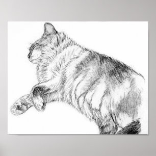 Sleeping beauty poster