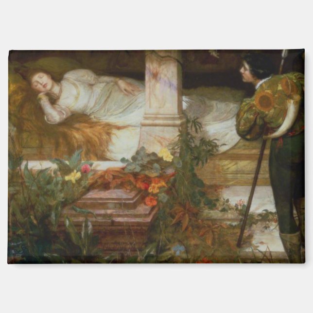 Sleeping Beauty (Pretty Princess Meets Her Prince) Magnet (Front)