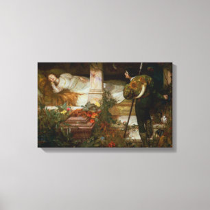 Sleeping Beauty (Prince Charming and His Princess) Canvas Print