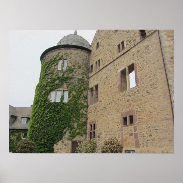 Sleeping Beauty's Castle Poster (Front)