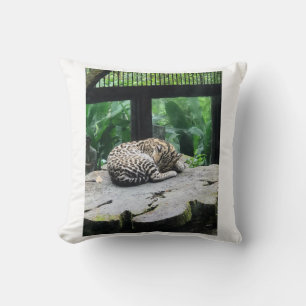 Sleeping Big Cat Pillow