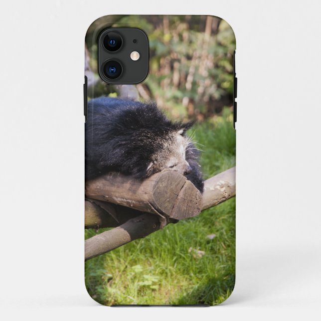 Sleeping Binturong Case-Mate iPhone Case (Back)
