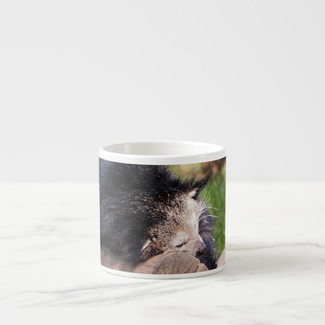 Sleeping Binturong Espresso Cup (Front)