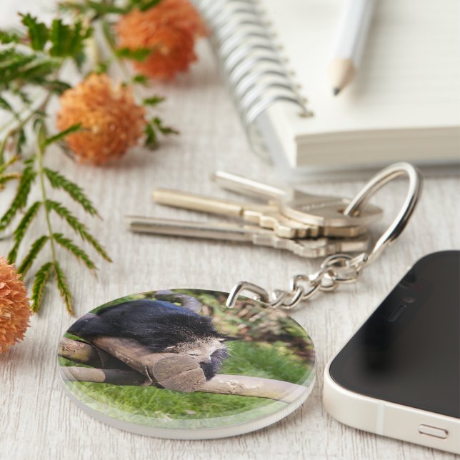 Sleeping Binturong Key Ring (Front Right)